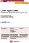 Llums i garlandes